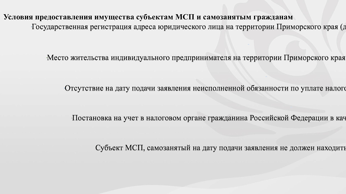 Имущественная поддержка: центр «Мой бизнес» Приморского края